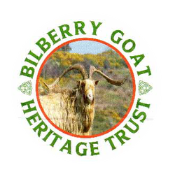 BILBERRY GOATS HERITAGE TRUST